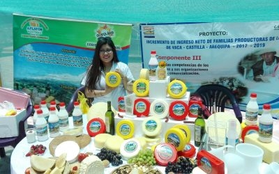 Incremento del ingreso neto en familias productores de leche de vaca – Castilla- Arequipa (2017 al 2019)