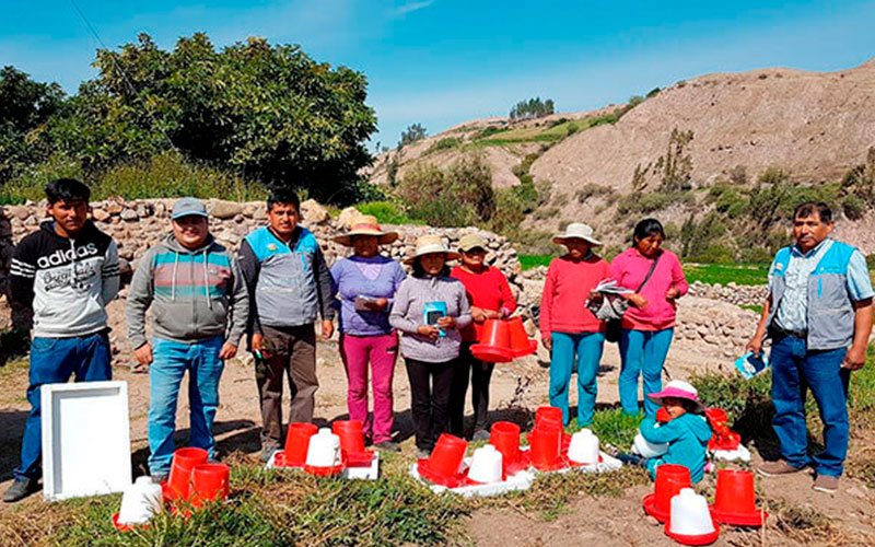 Certificación del manejo productivo del cuy